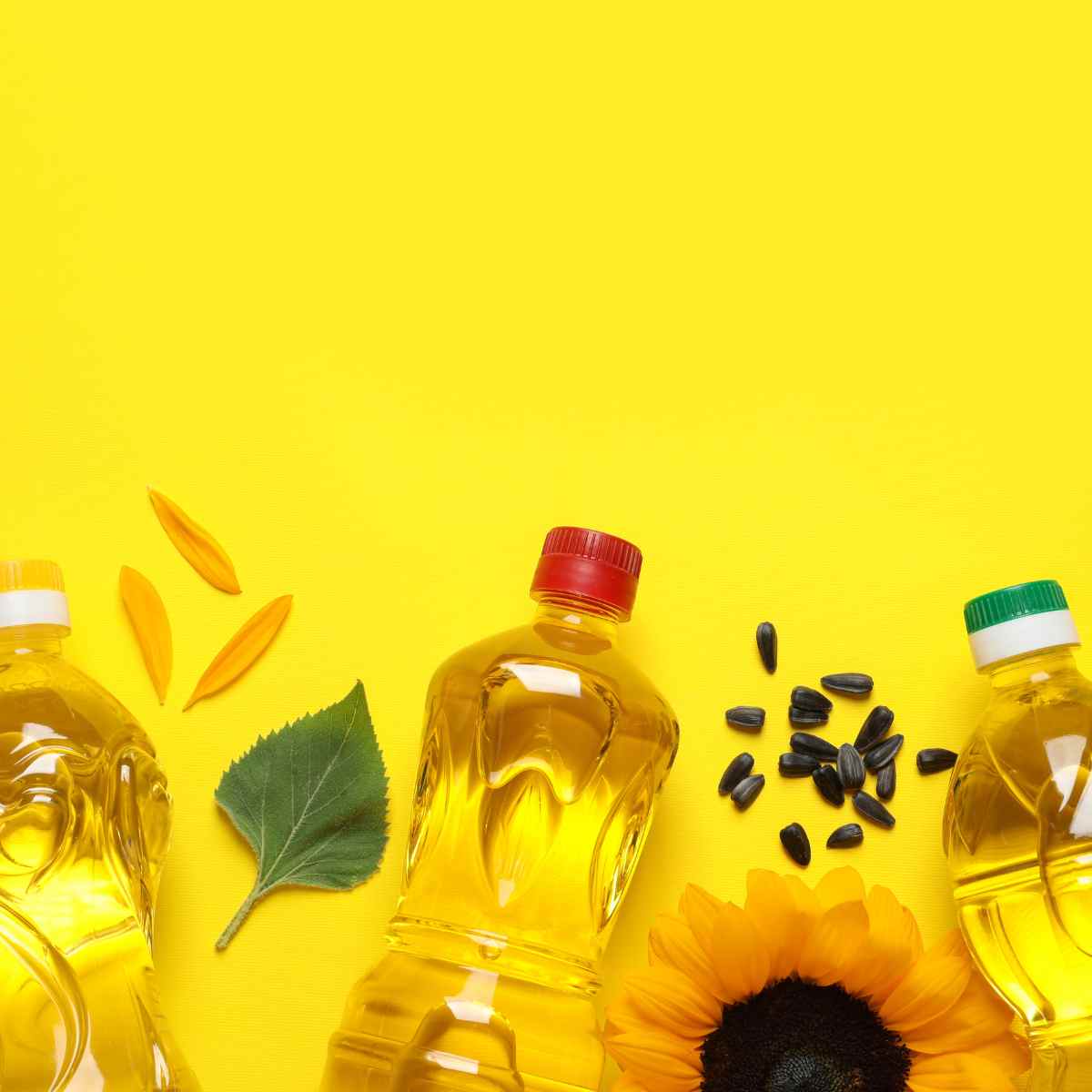 Bottles of cooking oil with different coloured tops sit on a yellow background with a sunflower head, petals and seeds in between the bottles