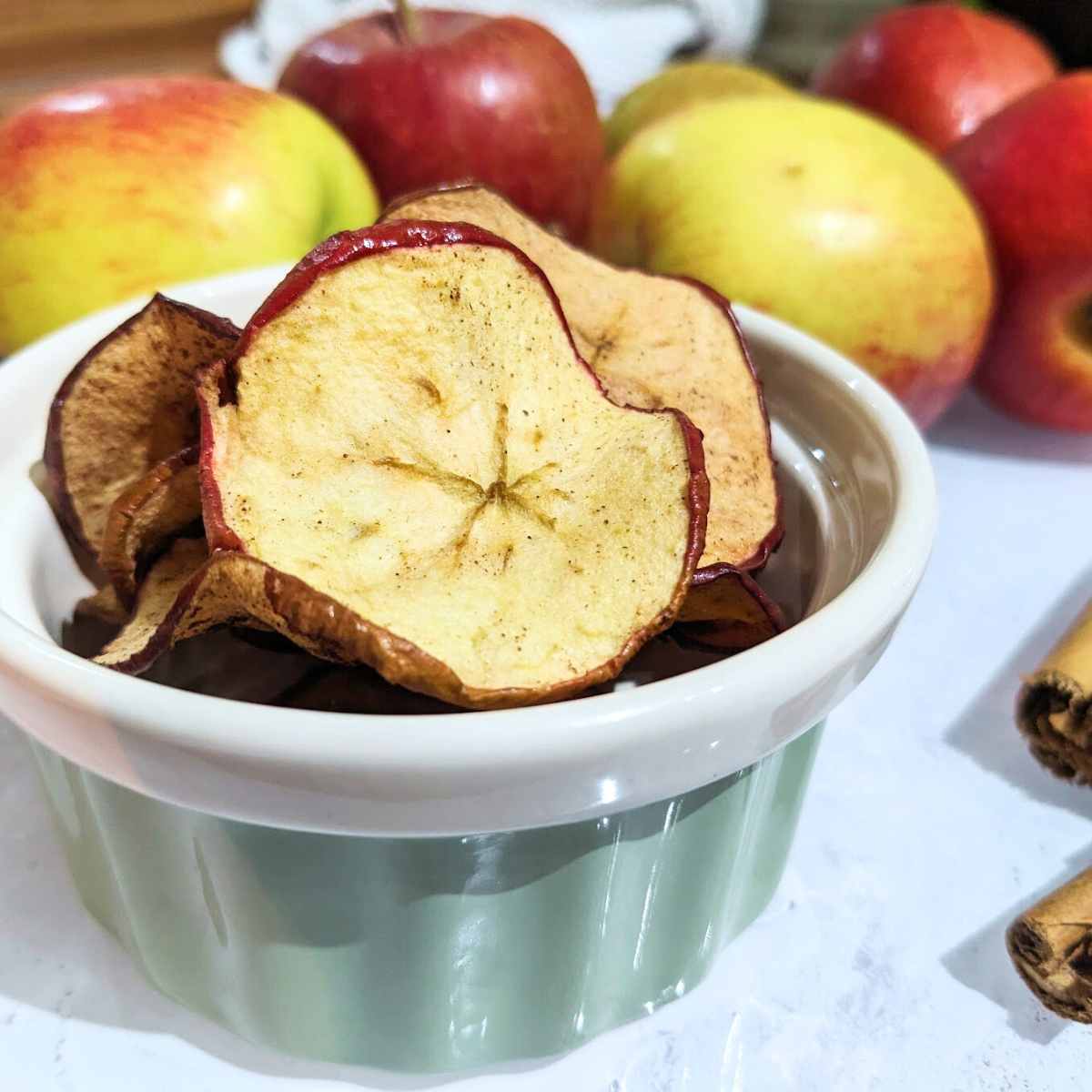 A bowl of air fryer apple crisps.