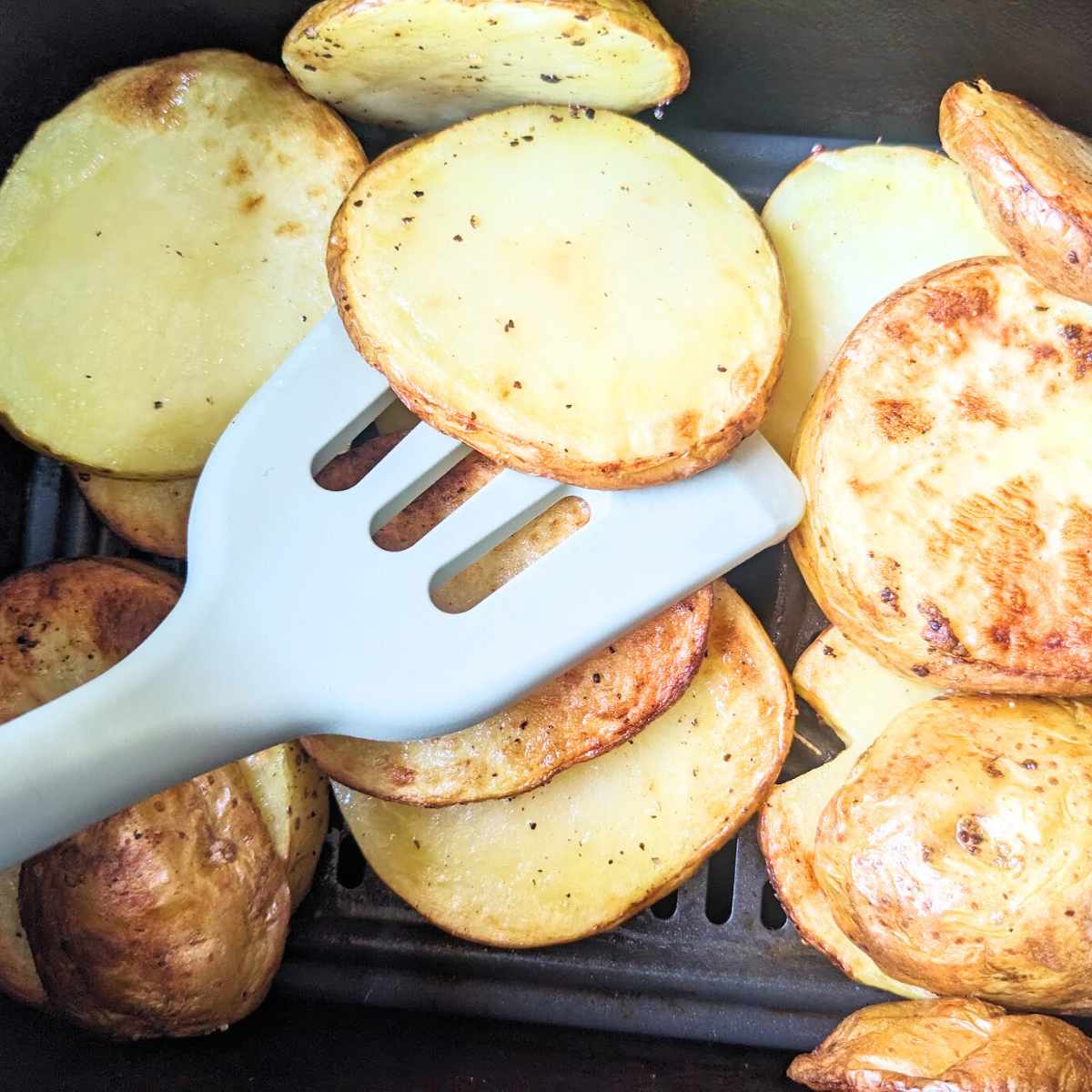 Sliced potatoes cooking in an air fryer basket.
